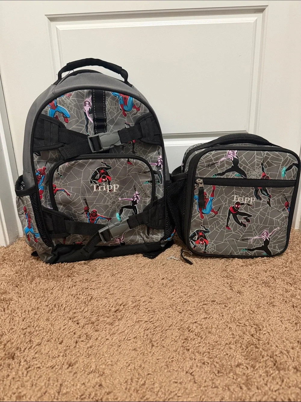 Pottery Barn Kids Gray Spider-Web Print Backpack with Lunch Bag - Gray